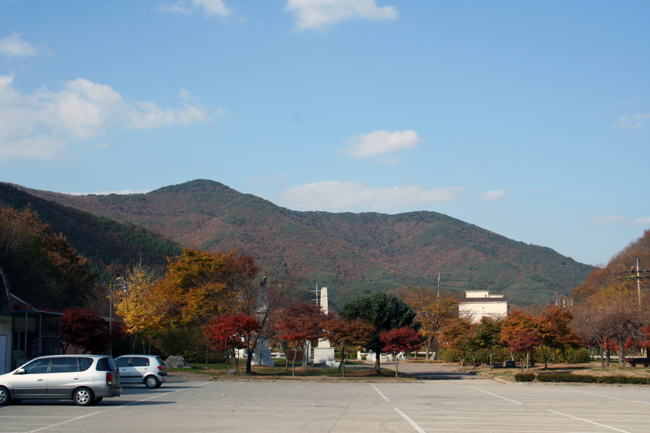 사용자 삽입 이미지