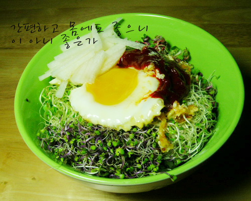 새싹뷰티 이미지